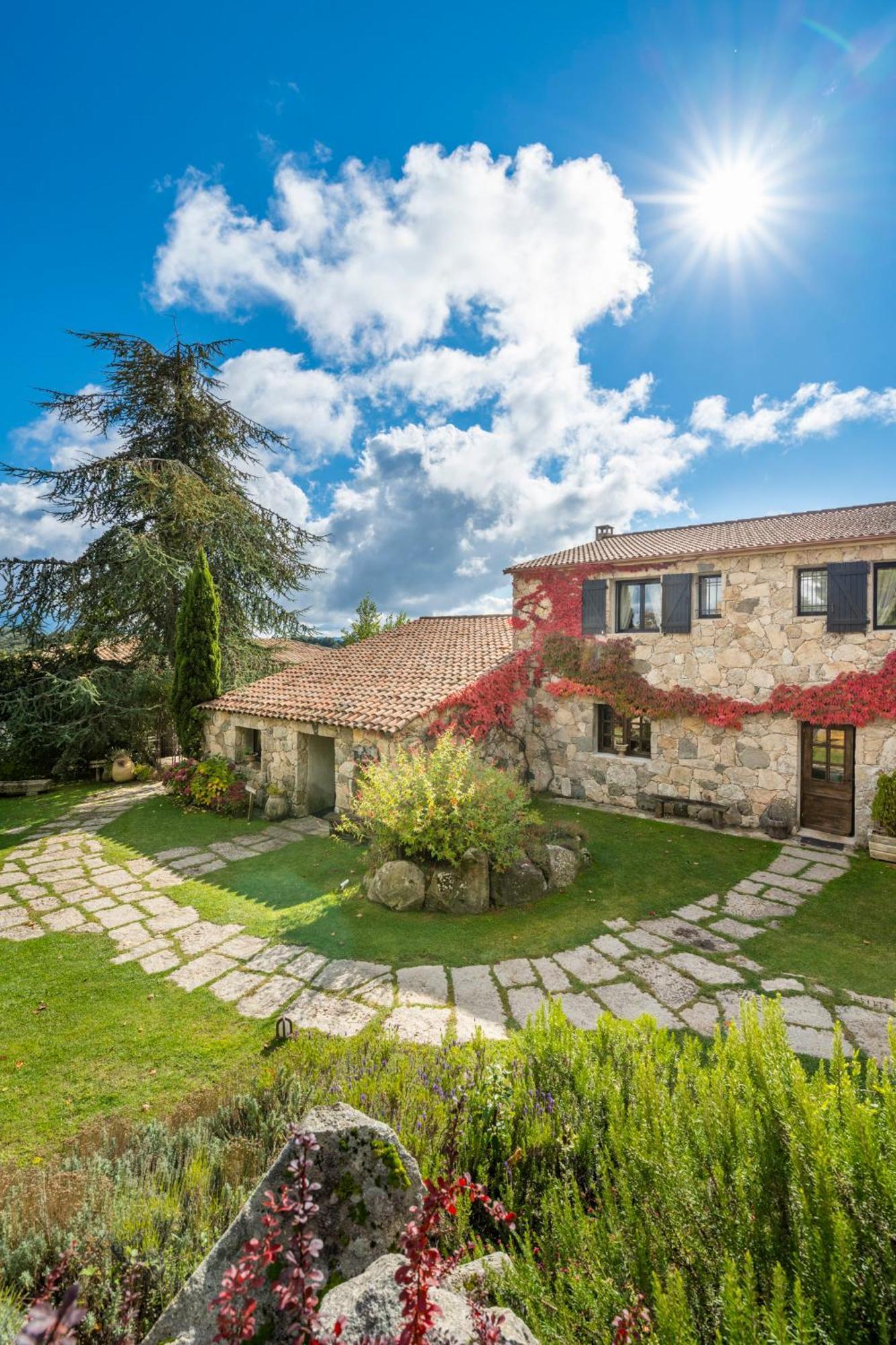 Auberge A Pignata Levie ภายนอก รูปภาพ